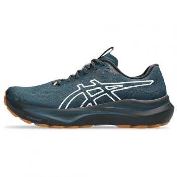 Asics Gt-2000 14 TR Stability Running Shoes – Petrol, UK 9