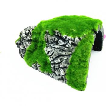 Realistic Turtle Moss Cave