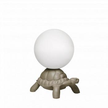Tortue Lumineuse (Gris Tourterelle)