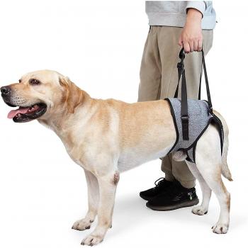Cabestrillo de rehabilitación para perros mayores