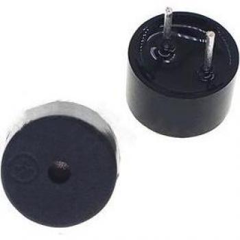 9*5 Integrated Buzzer