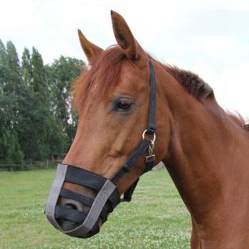 Waldhausen Black Textile Muzzle for Ponies