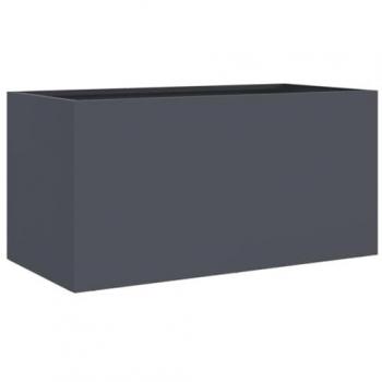 UrbanGarden 62×30×29 cm – Jardinière Lit Surélevé en Acier Anthracite