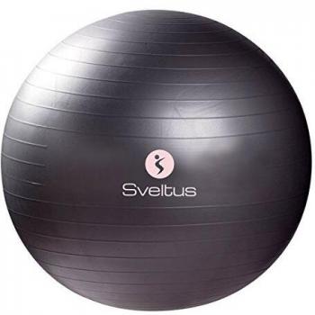 Sveltus 65cm Stability Ball with Box
