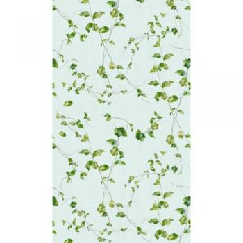 Murale photo Arbres Feuilles Vert