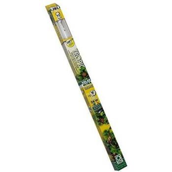 EcoBright T5 Aquarium