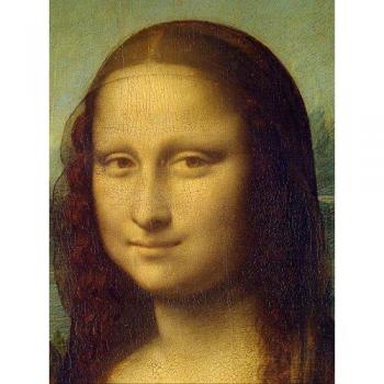 Leonardo da Vinci – Kunstentwürfe 1503 bis 1506