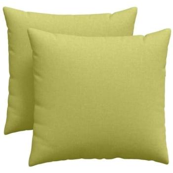 Coussins de Canapé 2 Pcs Tissu Vert Clair