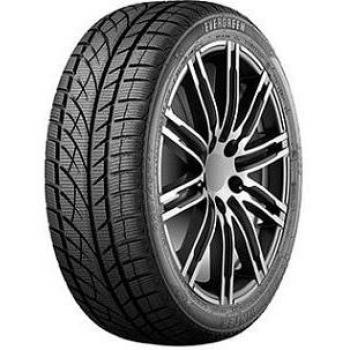 Evergreen EW66 195/65 R15 95 T Invernale