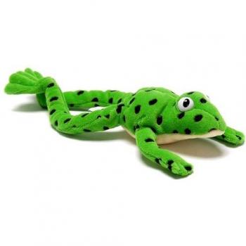 Read Write Inc.: Fred the Frog