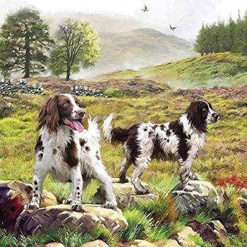 Otter House 1000 Teile Puzzle