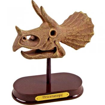 Fossil Kit for Kids: Triceratops and T-Rex Skeletons by Spiegelburg 14640