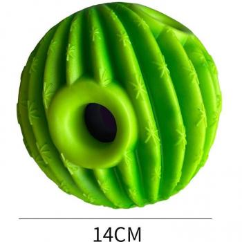 Jouet Cactus à Secouer pour Chien