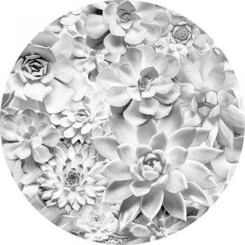 Éco-Echeveria 125X125 Stickers