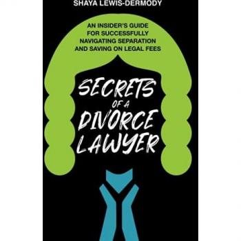 Secrets of a Divorce Lawyer