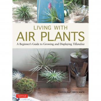 Living with Air Plants