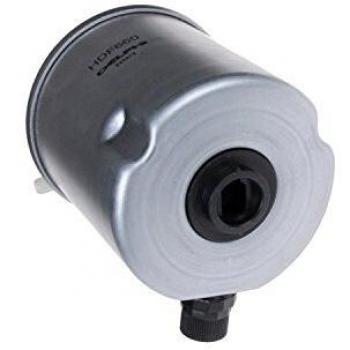 Blue Print ADN12342 Fuel Filter