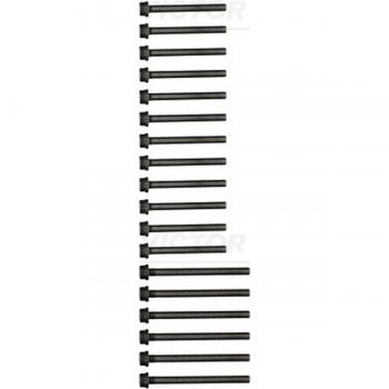 Kit de tornillos de culata REINZ 14-32129-01