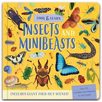 LOOK&FIND INSECTS AND MINIBEASTS