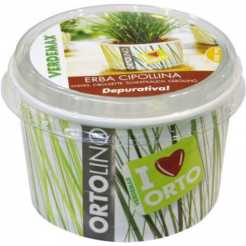 Kit VerdeMax Ortolino: Erba Cipollina e Semi per la Cucina