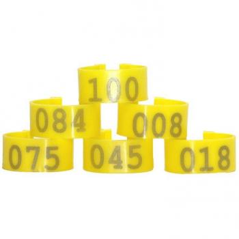 Kit de fixation de pieds d’oiseaux – 100 boucles en plastique multicolores