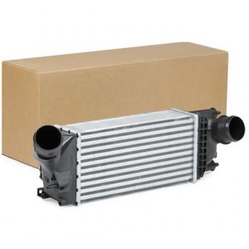 Echangeur Air 300x145x80 RIDEX 468I0258