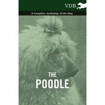 The Poodle