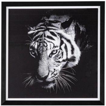 Evidence 105 da Iperbriko: 2x 43×43