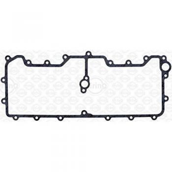 Olio Guarnizione Radiator