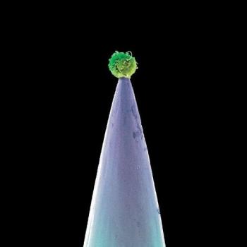 Peter Gabriel New Blood CD (Used) – US Rock 2011