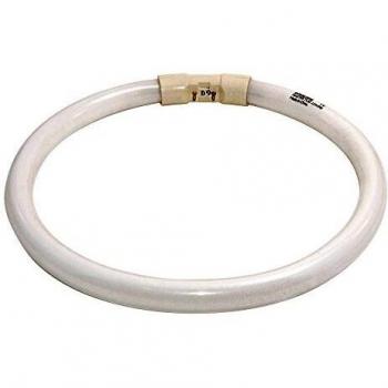 Philips TL5-C Pro Lampada Fluorescente 22W Luce Bianca Naturale