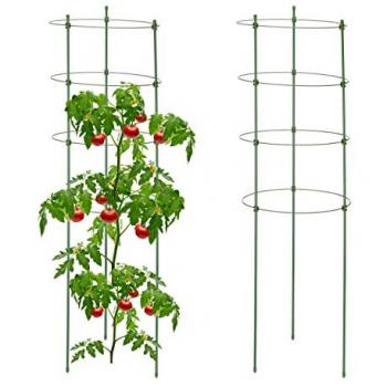 Supporti per Pomodori e Rose, Set di 2, Metallo Verde, HxD: 91x28 cm