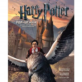 Harry Potter: A Pop-Up Book by Andrew Williamson (Hardcover, 2010)