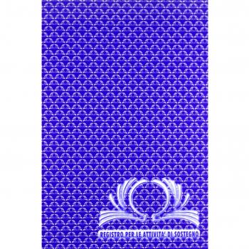 Registro per le attività di sostegno. Con schede per la compilazione del P.E.I.