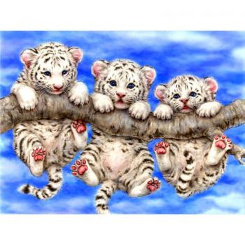 Cucito a Croce Tigre Bianco con Diamanti 20x30 cm
