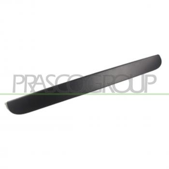 DG0058301 Maniglia di Porta Prasco