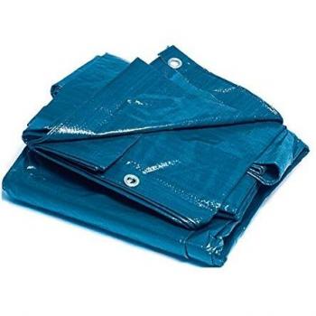Toldo Azul de Rafia 6x10 m