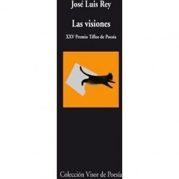 Las visiones (Tapa blanda con solapas).