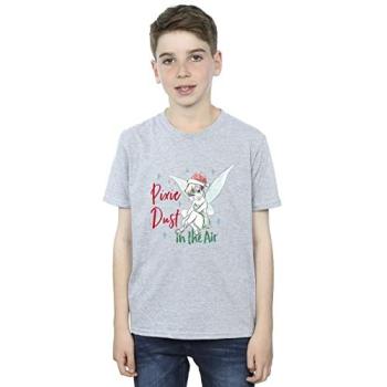 Disney Boys' Grey Tinker Bell Pixie Dust Top – 12-13 Years Old