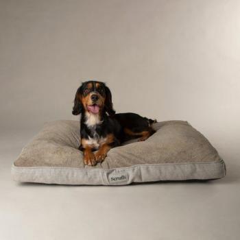 Harvard Pet Comfort Memory Foam Mattress – Pearl Grey, XL