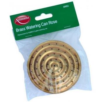 Rosa de Riego Embajador Talla Única Bronce