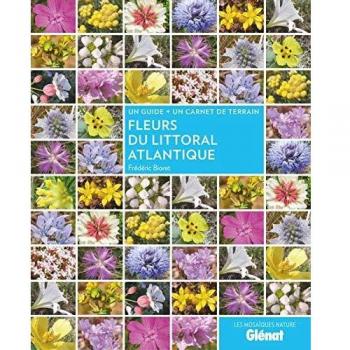 Fleurs du littoral atlantique