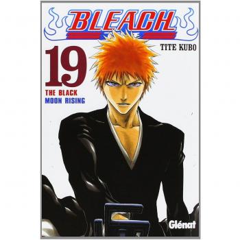 Bleach 19