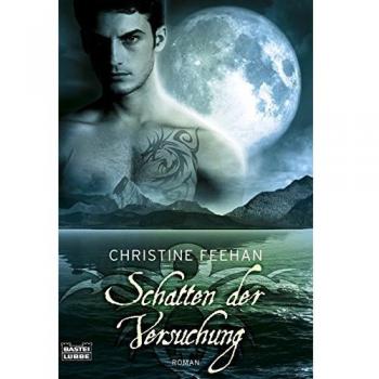 Schatten der Versuchung: Roman