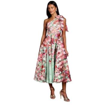 Coast Women's One-Shoulder Organza Midi Dress, Sage Stripe Pattern, Petite (10)