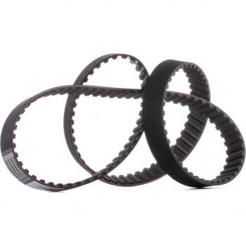 Pinza Fortis DIN6499B ER25 7mm