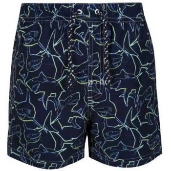 Regatta Skander II Shorts para Niños Azul Profundo