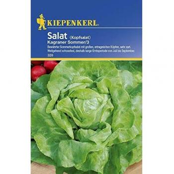 Kiepenkerl Salatsamen Kagraner Sommer 3