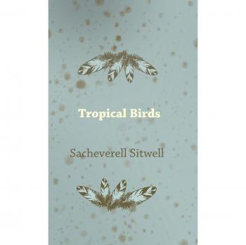 Tropical Birds