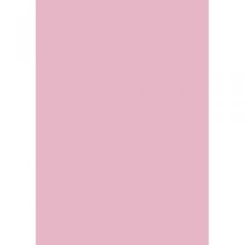 Feuille Rose 50x70 130 g